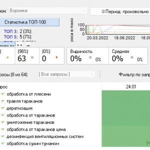 Вывод в ТОП Воронеж дезинфекция - Оптимизация ГАР